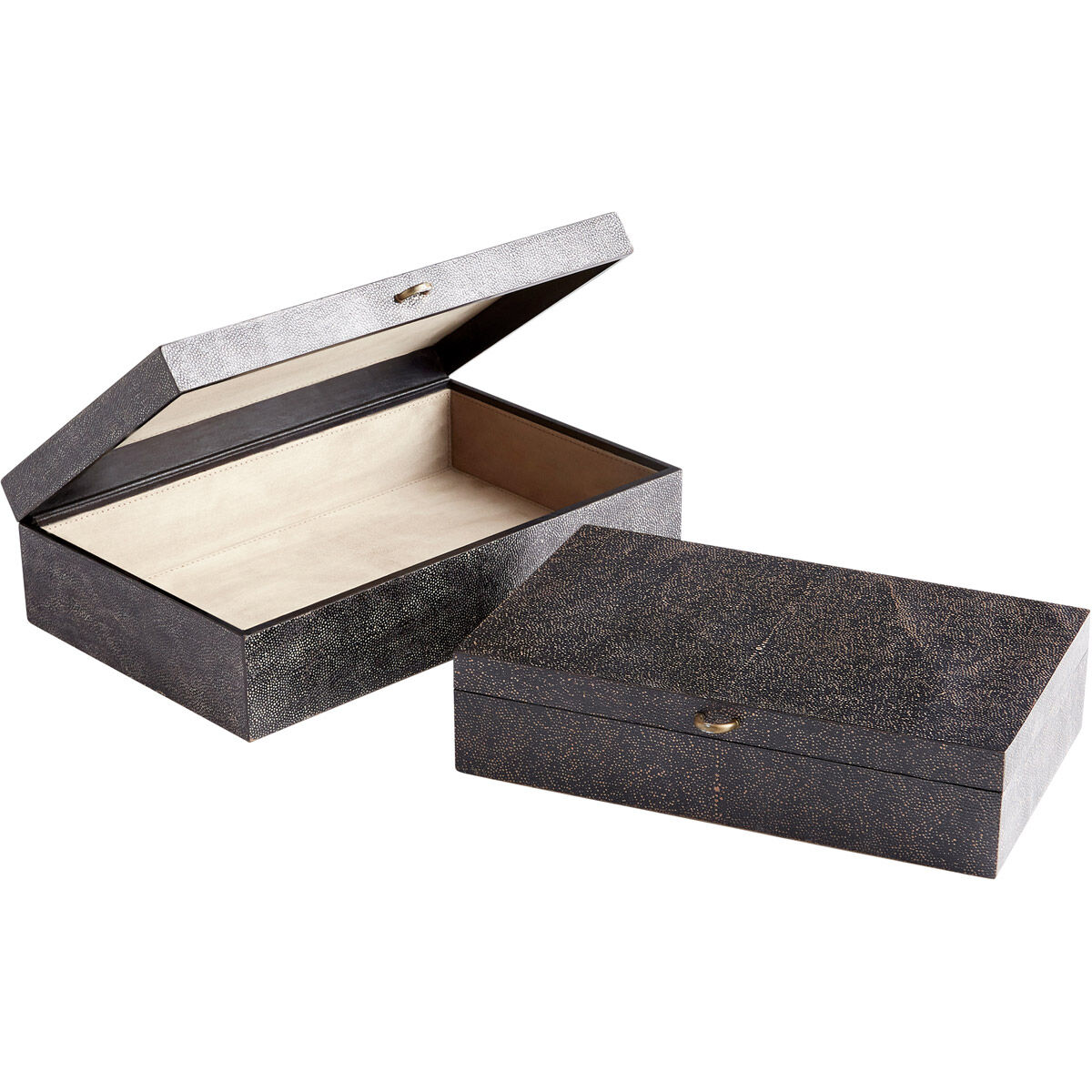 Puma Black And Bronze Container