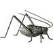 Cricket 5 X 5 inch Sculpture