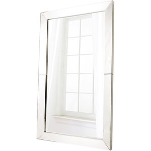Look In 81 X 48 inch Clear Wall Mirror