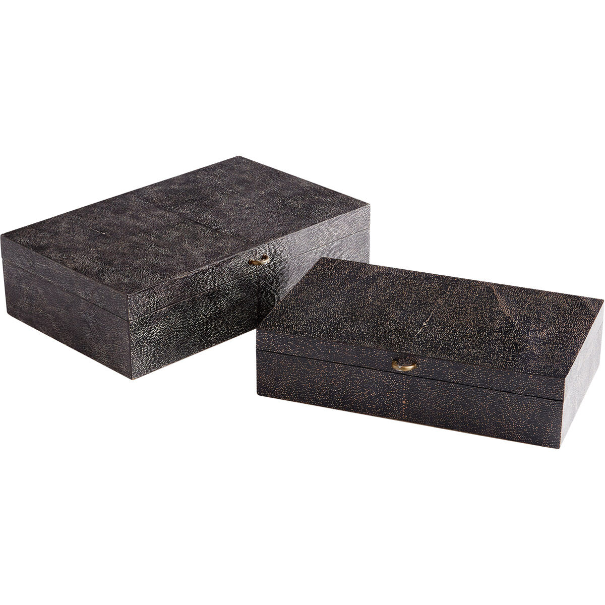 Puma Black And Bronze Container