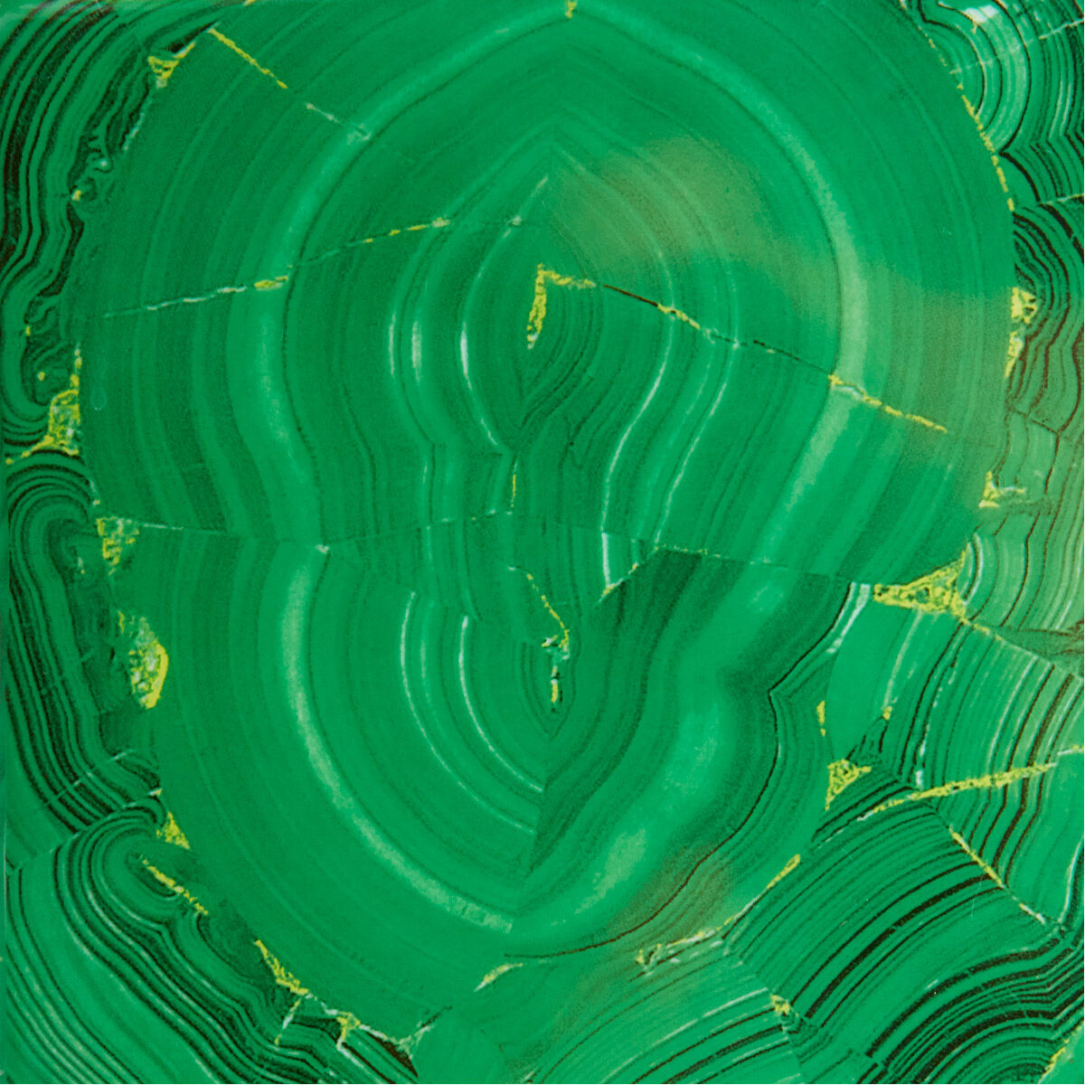 Jaded 13 X 5 inch Vase, Small