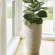 Nereus Grey Planter, Tall-Large