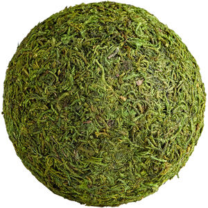 Bermuda Green Moss Filler, Medium