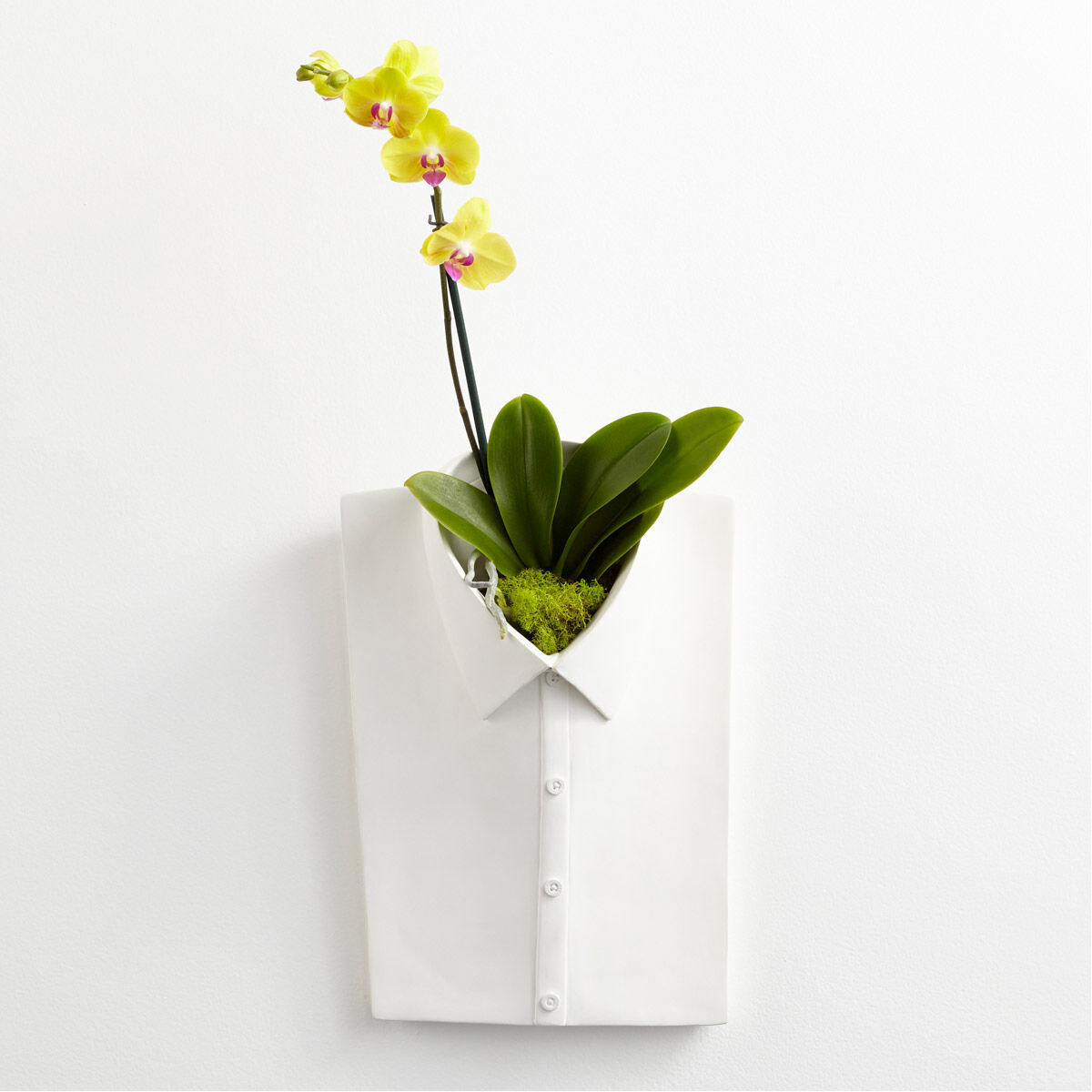 Chemise White Wall Decor