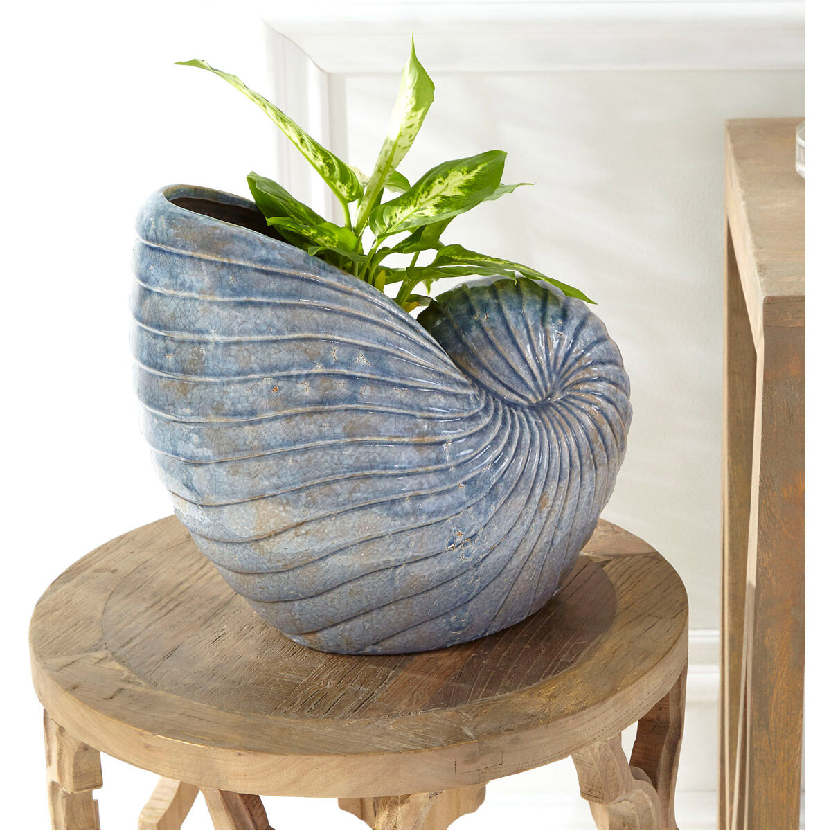 Sirah 18 inch Black Forest Grove Side Table