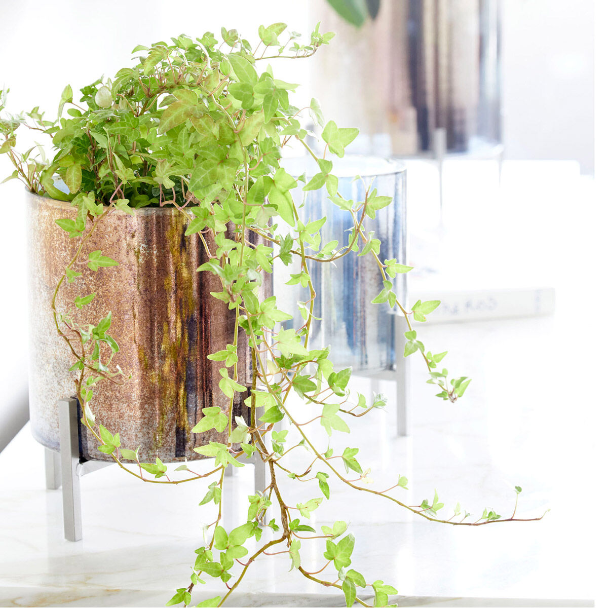 Basil 14 X 11 inch Candleholder, Large