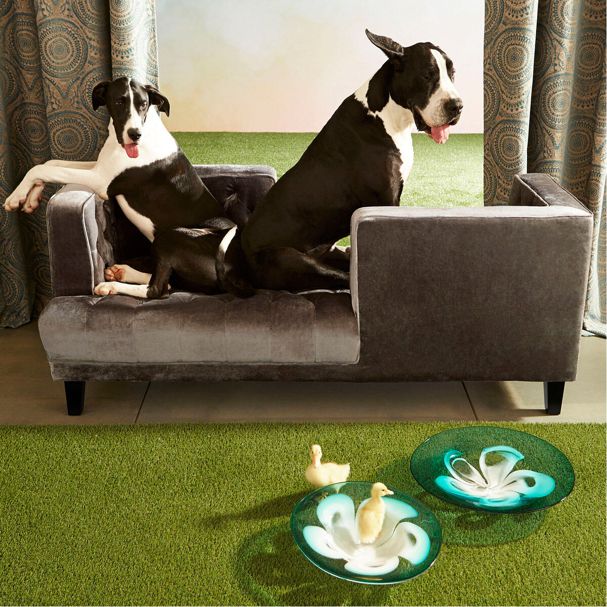 Flower Power 16 X 16 inch Blue Plate, Small