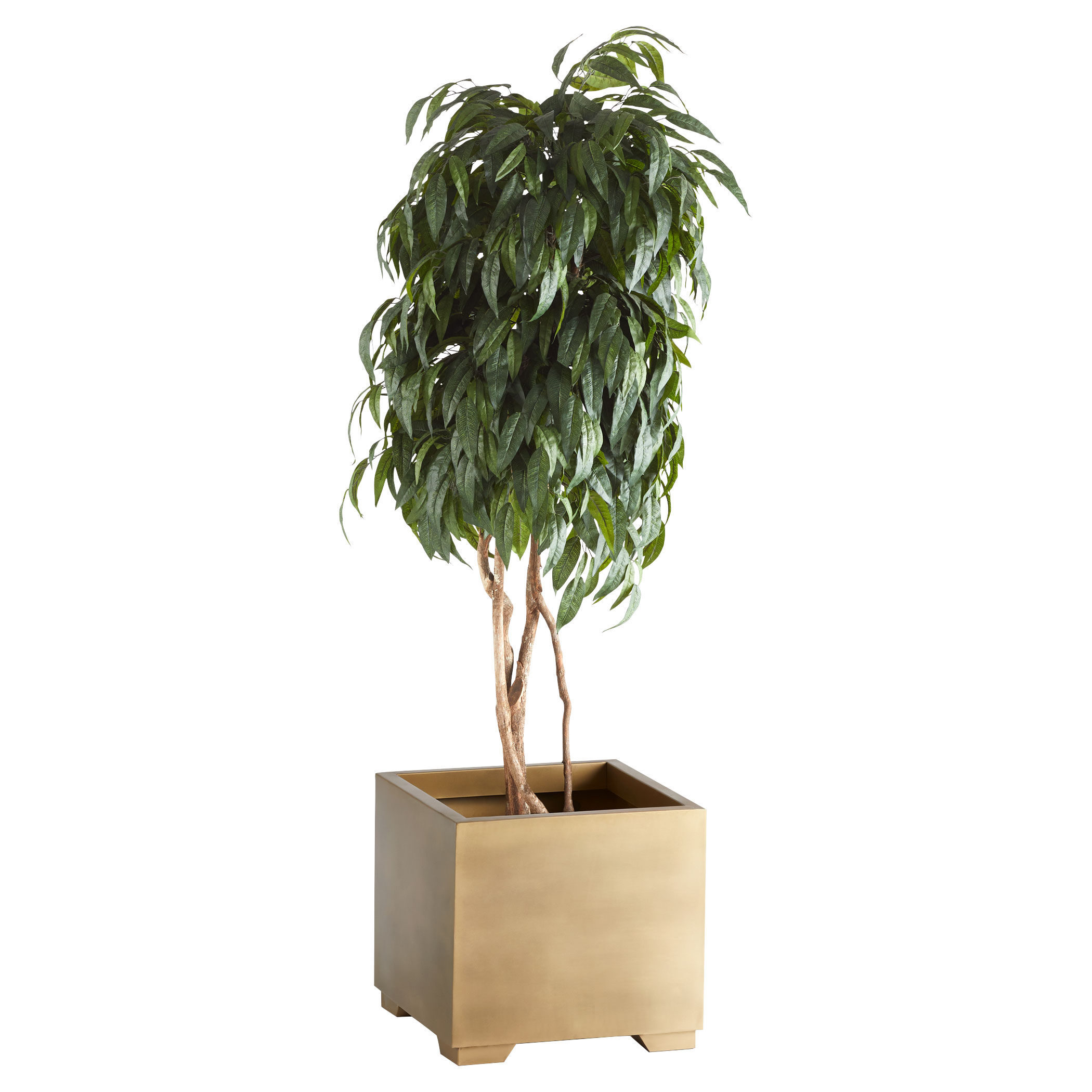 Aster Gold Planter