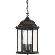Outdoor Pendants / Chandeliers