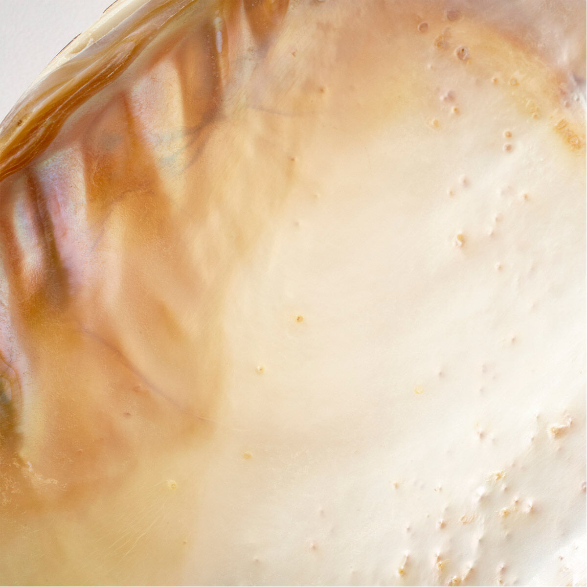 Avalone Pearl Tray, Small