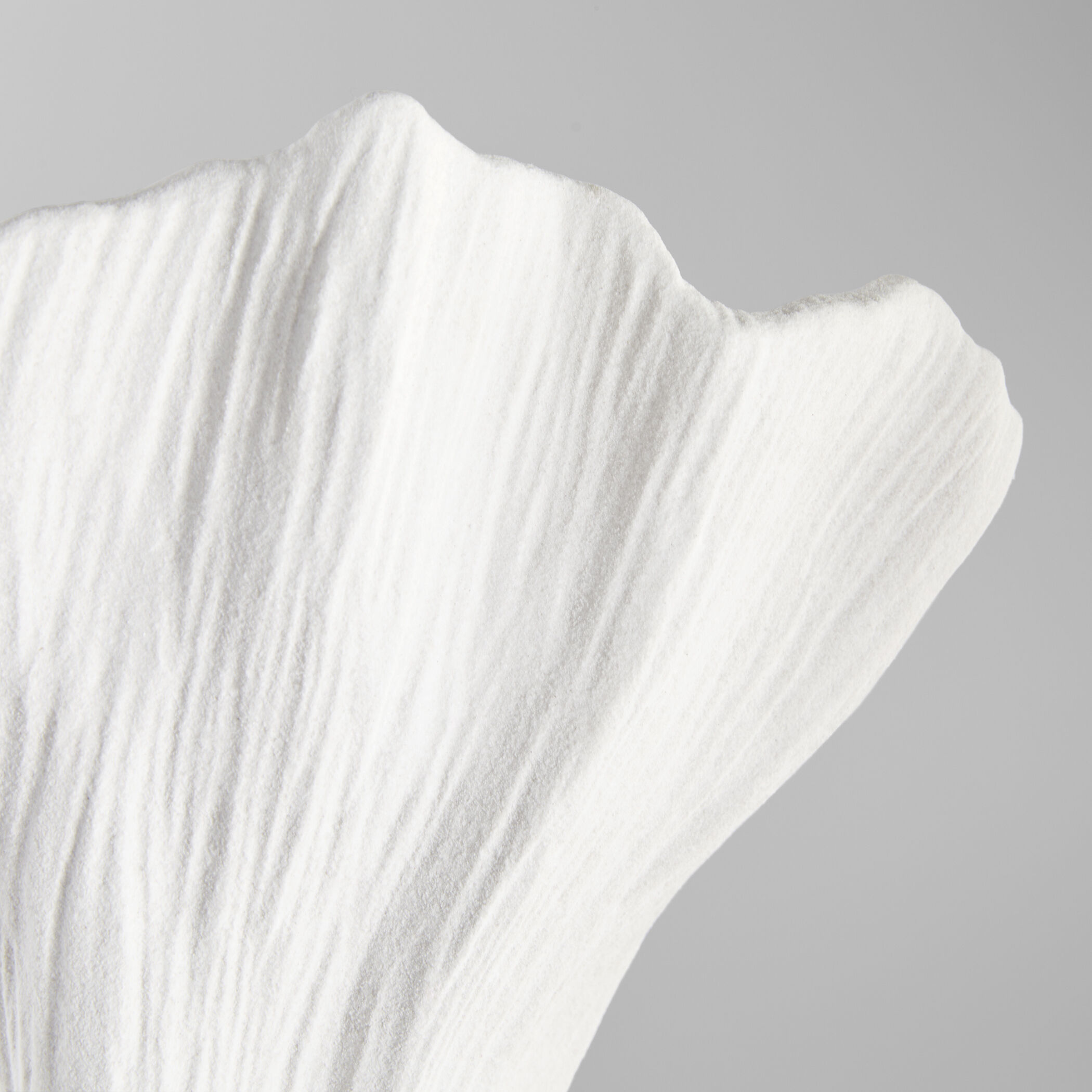 Tulip 15.75 X 7.5 inch Vase, Small