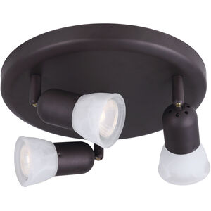 James 3 Light 10 inch Oil Rubbed Bronze Ceiling/Wall Light Ceiling Light