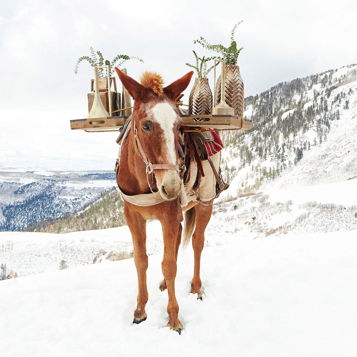 Funnel Love Bronze Container