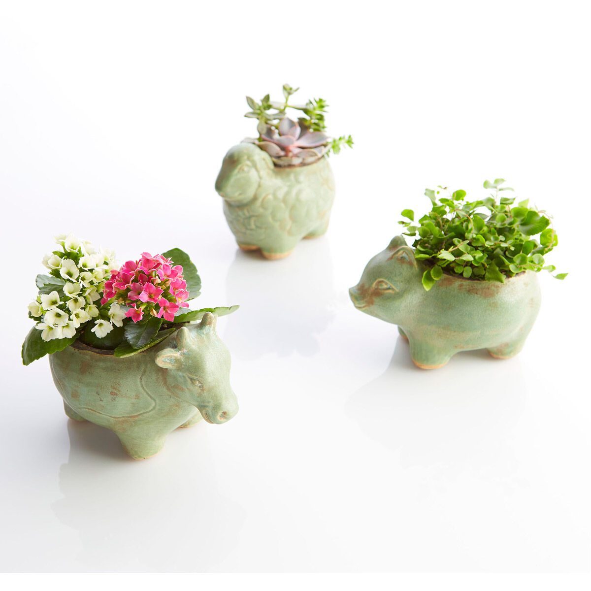 Lala Lamb Green Glaze Planter