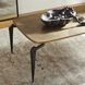 Tarsal 53 X 25 inch Black and Gold Coffee Table