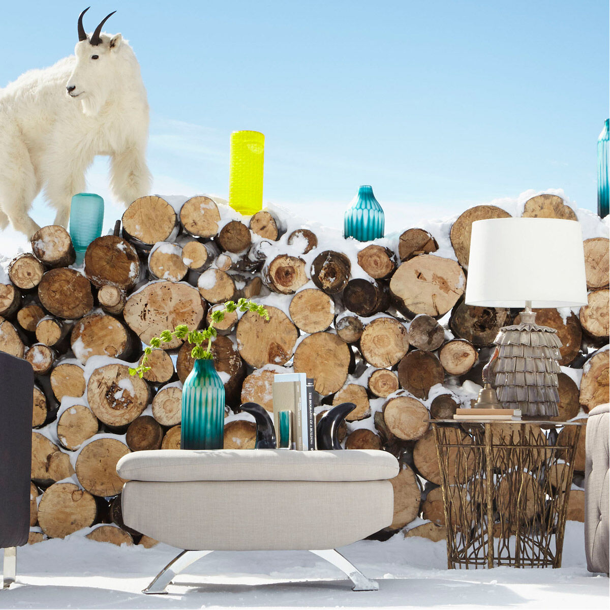 Horn Rimmed 8 X 7 inch Bone And Black Bookends