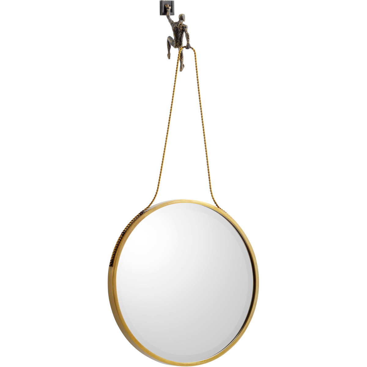 Muscle 38.25 X 17.75 inch Golden Bronze Wall Mirror