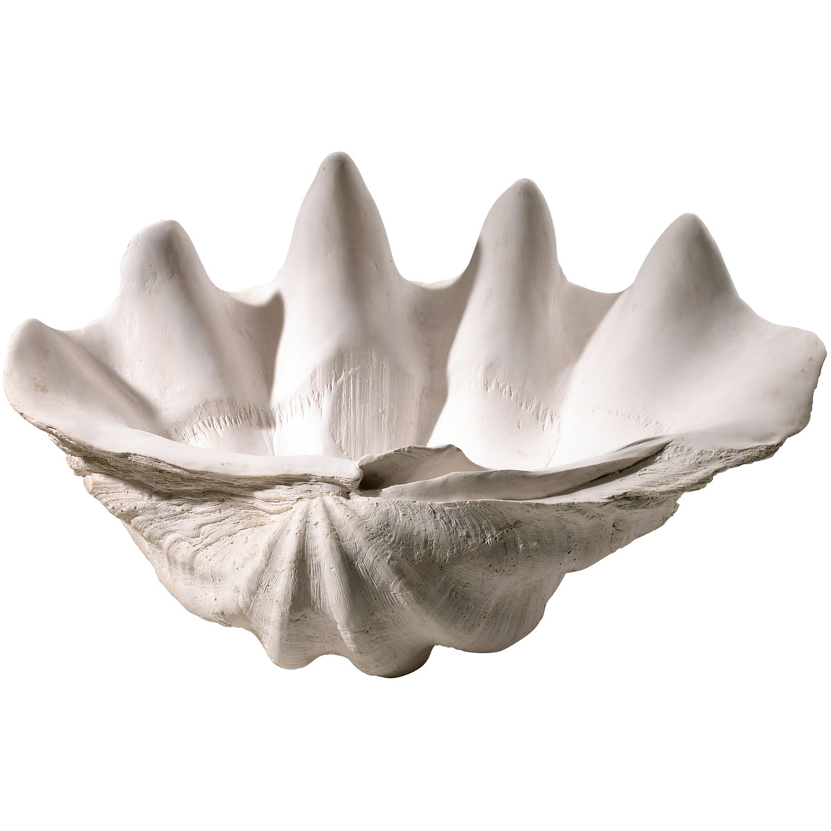 Clam Shell 21 X 9.25 inch Bowl